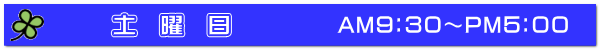 土曜日　　AM９：３０～PM５：００